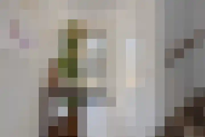 Pioen 21 Noordwijkerhout thumbnail 14