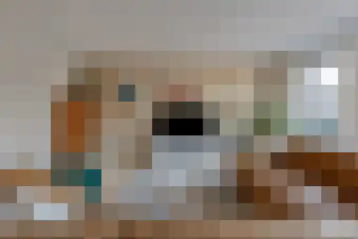 Pioen 21 Noordwijkerhout thumbnail 21