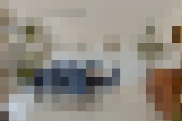 Pioen 21 Noordwijkerhout thumbnail 22