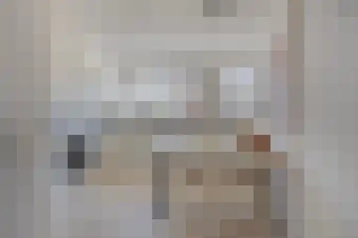 Pioen 21 Noordwijkerhout thumbnail 25