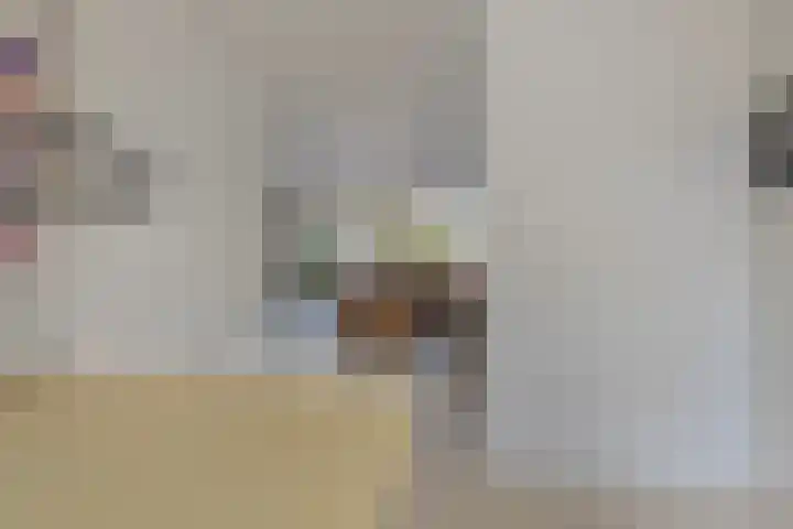 Pioen 21 Noordwijkerhout thumbnail 26