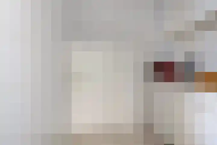 Pioen 21 Noordwijkerhout thumbnail 28