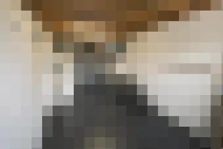 Pioen 21 Noordwijkerhout thumbnail 29