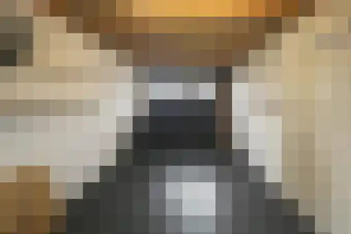 Pioen 21 Noordwijkerhout thumbnail 30