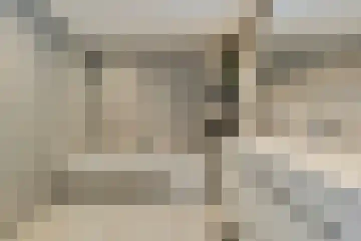 Pioen 21 Noordwijkerhout thumbnail 37