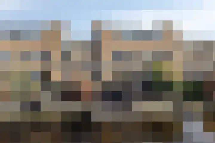 Pioen 21 Noordwijkerhout thumbnail 4