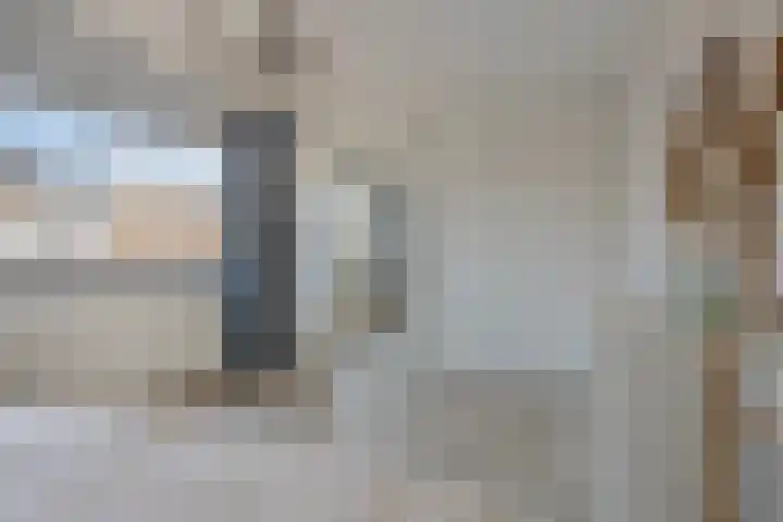 Pioen 21 Noordwijkerhout thumbnail 41