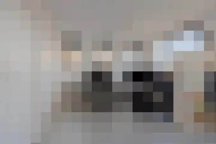 Pioen 21 Noordwijkerhout thumbnail 43