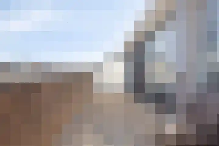 Pioen 21 Noordwijkerhout thumbnail 47