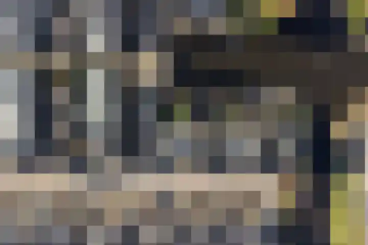 Pioen 21 Noordwijkerhout thumbnail 5