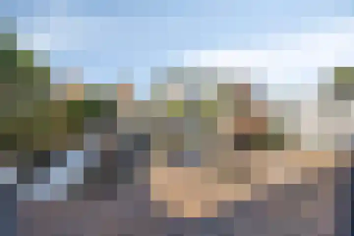 Pioen 21 Noordwijkerhout thumbnail 52