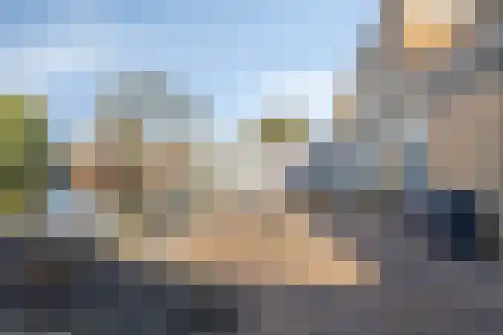 Pioen 21 Noordwijkerhout thumbnail 53