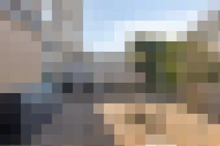 Pioen 21 Noordwijkerhout thumbnail 54