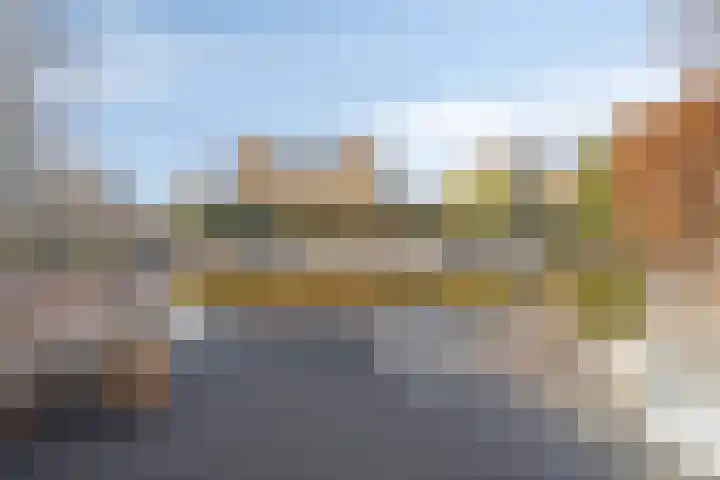 Pioen 21 Noordwijkerhout thumbnail 55