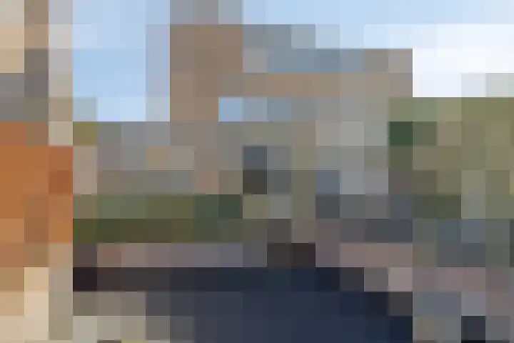 Pioen 21 Noordwijkerhout thumbnail 56