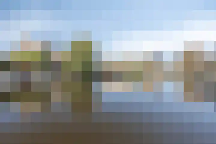 Pioen 21 Noordwijkerhout thumbnail 57