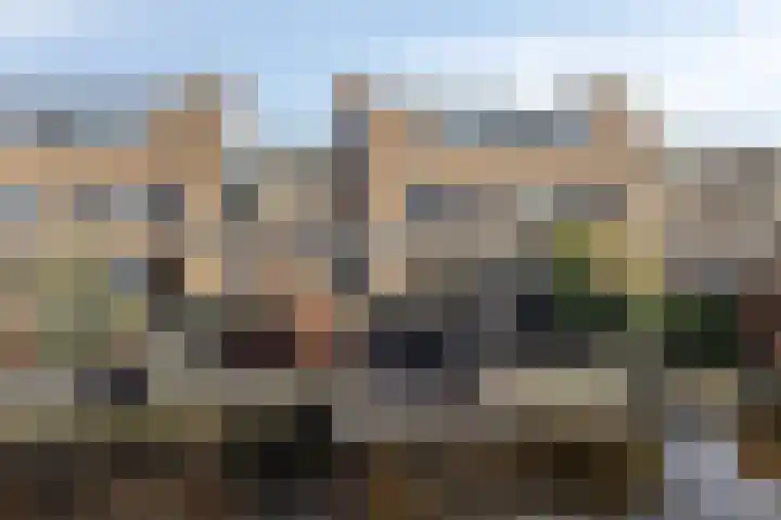 Pioen 21 Noordwijkerhout thumbnail 58