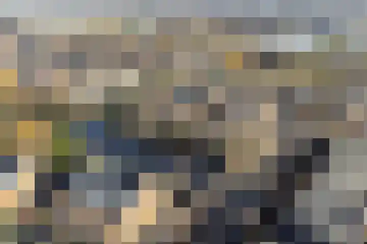 Pioen 21 Noordwijkerhout thumbnail 60