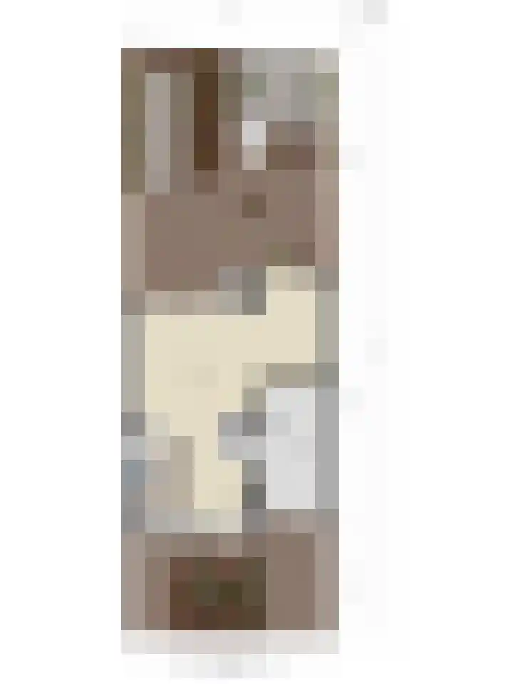 Pioen 21 Noordwijkerhout thumbnail 63