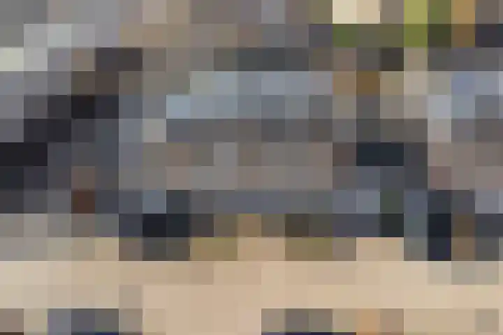 Pioen 21 Noordwijkerhout thumbnail 7