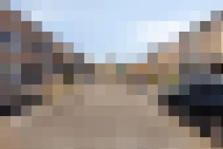 Pioen 21 Noordwijkerhout thumbnail 9