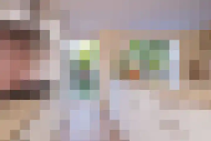 Pioen 7 Noordwijkerhout thumbnail 11
