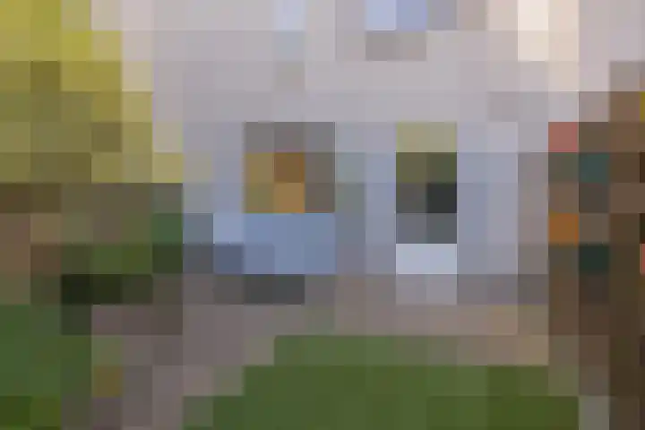 Pioen 7 Noordwijkerhout thumbnail 13