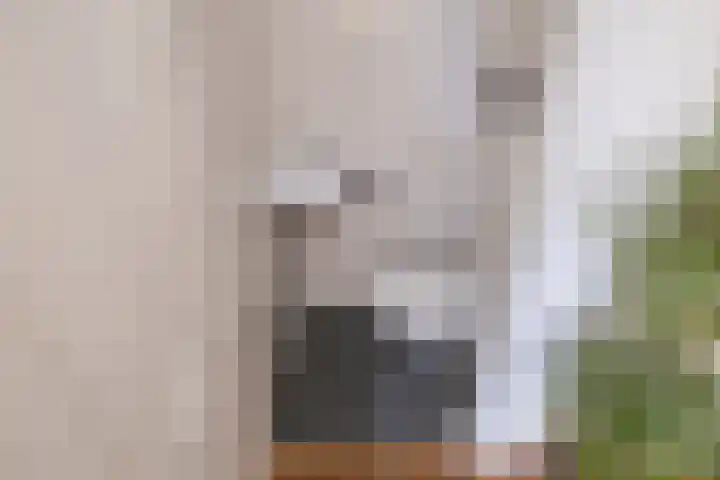 Pioen 7 Noordwijkerhout thumbnail 16