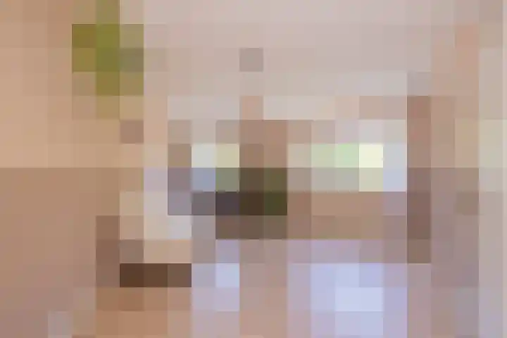 Pioen 7 Noordwijkerhout thumbnail 20