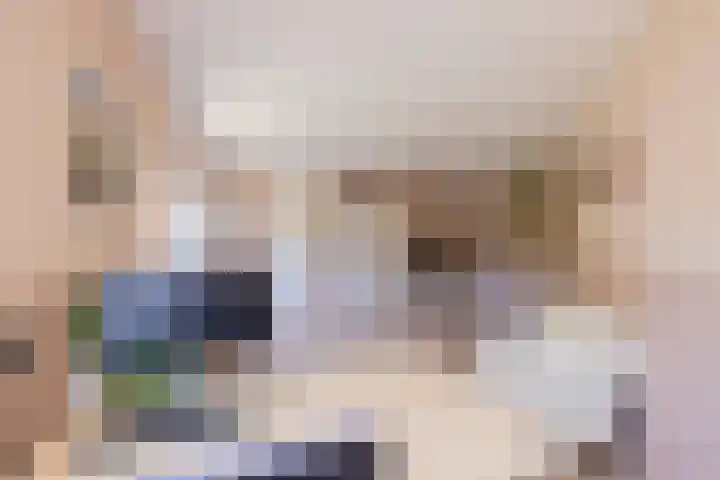 Pioen 7 Noordwijkerhout thumbnail 21