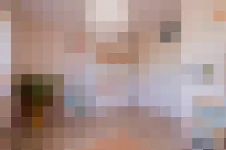 Pioen 7 Noordwijkerhout thumbnail 23