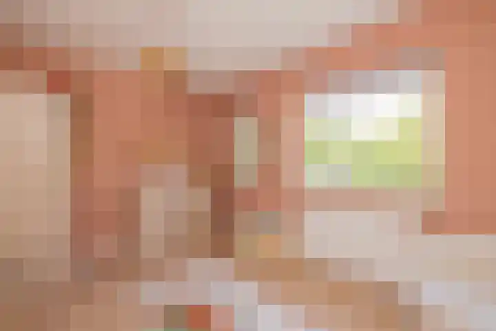 Pioen 7 Noordwijkerhout thumbnail 27