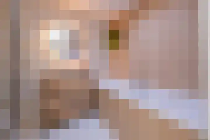Pioen 7 Noordwijkerhout thumbnail 28