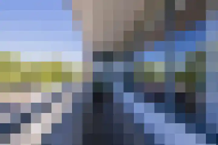 Pioen 7 Noordwijkerhout thumbnail 34