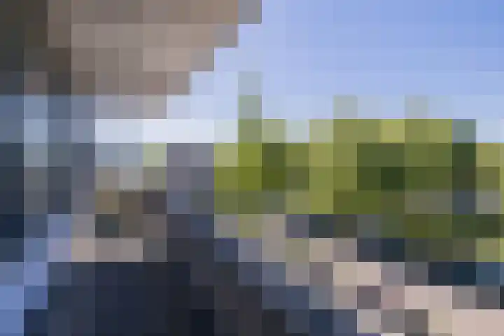 Pioen 7 Noordwijkerhout thumbnail 35
