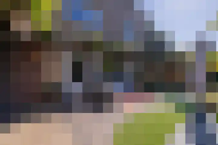 Pioen 7 Noordwijkerhout thumbnail 36