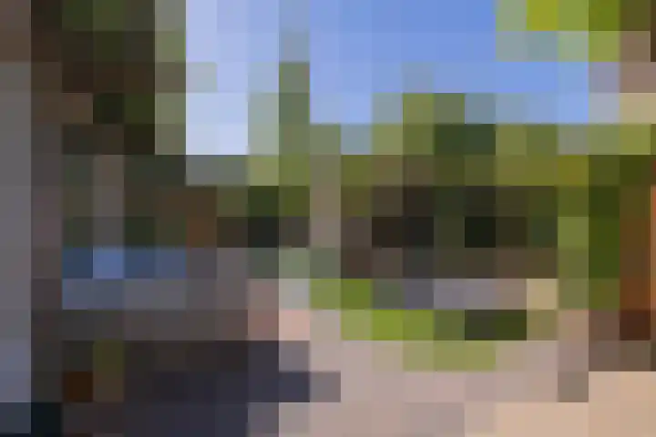 Pioen 7 Noordwijkerhout thumbnail 37