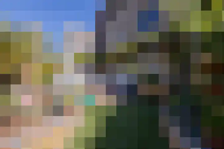 Pioen 7 Noordwijkerhout thumbnail 38