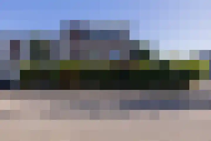 Pioen 7 Noordwijkerhout thumbnail 40