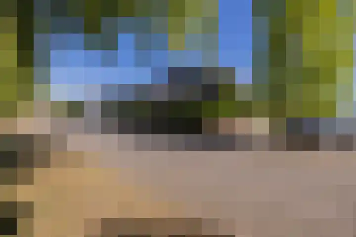 Pioen 7 Noordwijkerhout thumbnail 41