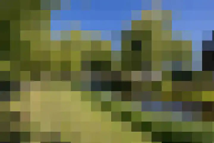 Pioen 7 Noordwijkerhout thumbnail 42