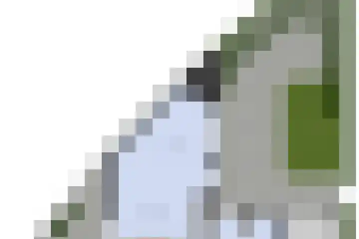 Pioen 7 Noordwijkerhout thumbnail 46