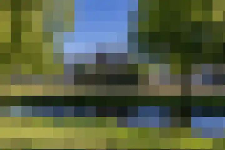 Pioen 7 Noordwijkerhout thumbnail 47