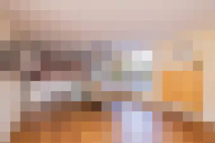 Pioen 7 Noordwijkerhout thumbnail 6