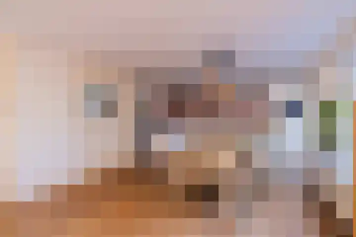 Pioen 7 Noordwijkerhout thumbnail 7