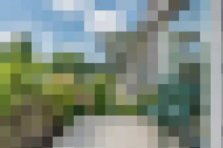 Pioenhof 22 Katwijk thumbnail 31