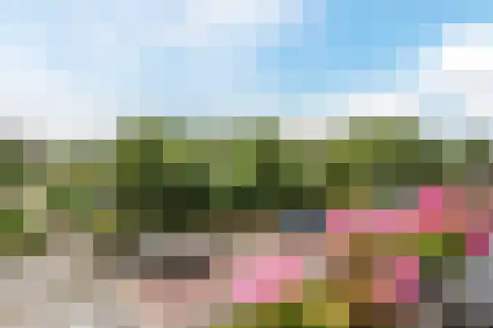 Pioenhof 22 Katwijk thumbnail 32