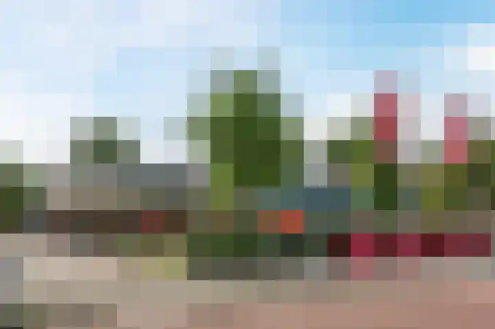 Pioenhof 22 Katwijk thumbnail 36