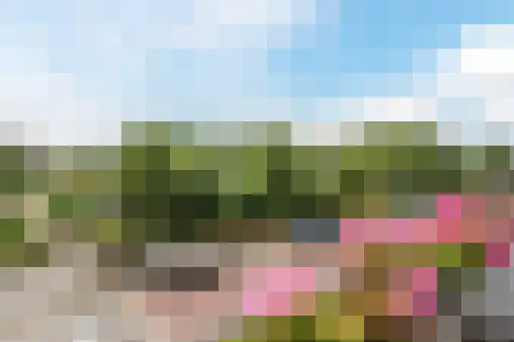 Pioenhof 22 Katwijk thumbnail 4