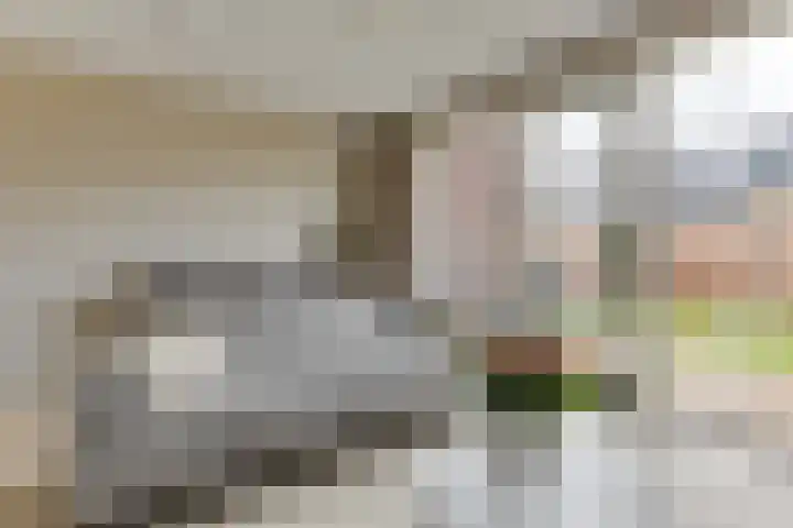 Pioenhof 24 Hensbroek thumbnail 10